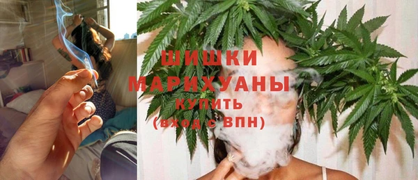 гидра Верея