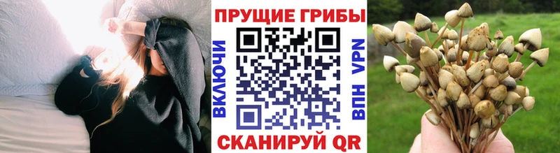 Галлюциногенные грибы мухоморы  Гудермес 