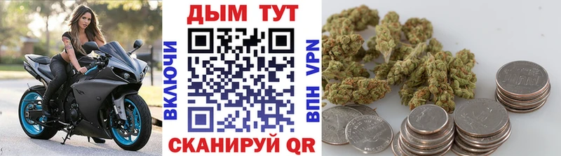 как найти закладки  гидра маркетплейс  Канабис THC 21%  Гудермес 